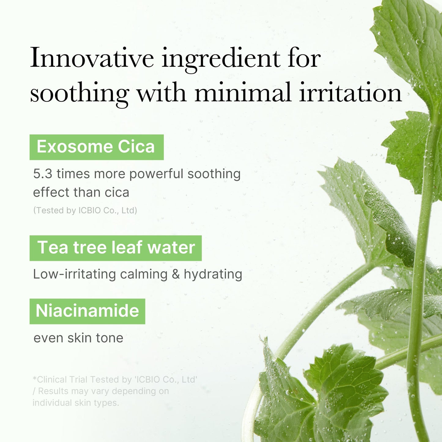 exosome-cica-calming-toner-pads-w5 03_d73c7e58-fe02-42b9-8dfe-6db8bcfc4a9d.jpg