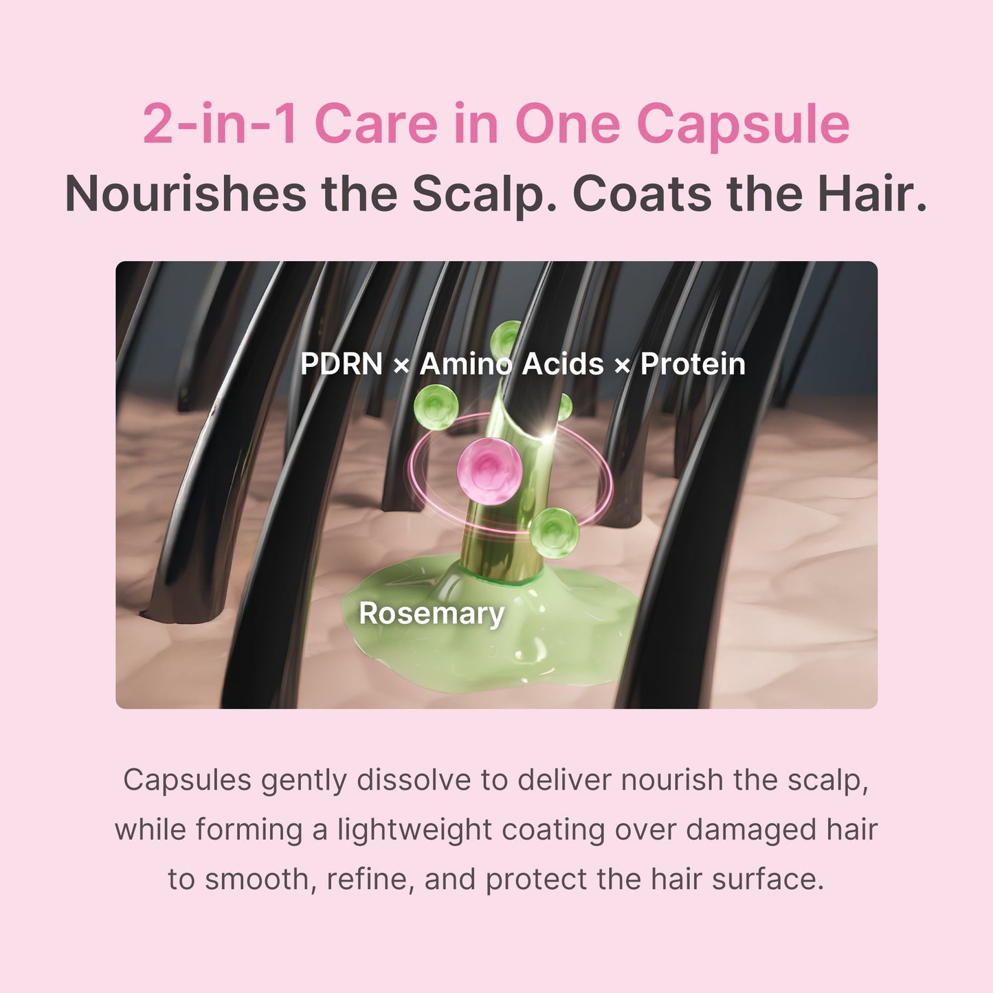 rosemary-pdrn-hair-and-scalp-conditioner-p3 US_ME_RosemaryConditioner_th05.jpg